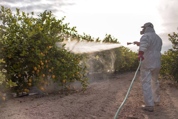 Best Affordable Pest Control Services  in Fort Campbell North, KY