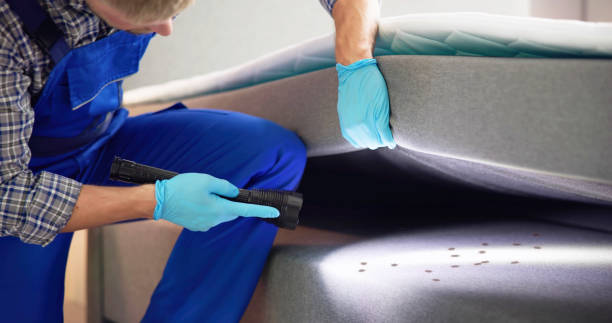 Best Flea Control Services  in Fort Campbell North, KY