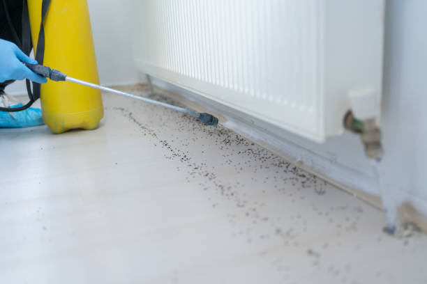 Best Wasp Removal Services  in Fort Campbell North, KY